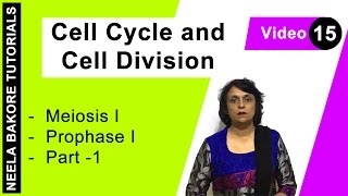 Cell Cycle amp Cell Division  NEET  Meiosis I  Prophase I  Part  1  Neela Bakore Tutorials [upl. by Cathey]