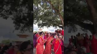 Beautiful Nepali Woman Dancing in Traditional Saree  Nepali Cultural Dance September 11 2024 [upl. by Marigolde]