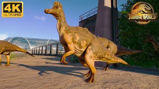 Corythosaurus  5000 kg Dinosaur  Jurassic World Evolution 2 [upl. by Eimmot]