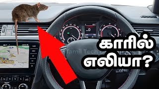 எலி கார் பக்கமே வரவிடாமல் ஓட ஓட விரட்டும் பொருள்கள் இதுதாங்க  Protect CAR from RATS [upl. by Atekin]