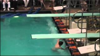 Michael Nashs Final Dive from the Boys IHSA Swimming and Diving Championships [upl. by Olmstead579]