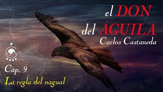 🦅 Cap 9 La regla del nagual  𝘦𝘭 𝘋𝘖𝘕 𝘥𝘦𝘭 Á𝘎𝘜𝘐𝘓𝘈  Carlos Castaneda  Voz Chavenato [upl. by Hildagarde]