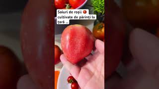 Soiuri de roșii 🍅 cultivate de părinți la țară … [upl. by Notneb]