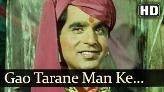 Gaao Taraane Man Ke HD  Aan 1952 Songs  Dilip Kumar  Nadira  Shamshad Begum  Mohd Rafi [upl. by Hefter]