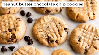 Peanut Butter Chocolate Chip Cookies [upl. by Ennaeed]