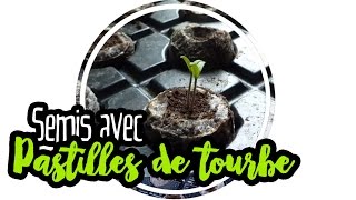 🌿 SEMIS PASTILLES TOURBE compressées [upl. by Baker]