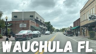 WAUCHULA FLORIDA 2021DOWNTOWN amp ORANGE GROVES [upl. by Nosila872]