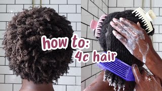 Curly Hair 101 Beginners Guide to 4C Hair [upl. by Eimmac]