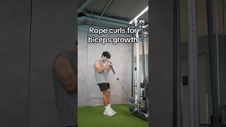 How to do Rope Curls Properly for Biceps Growth [upl. by Snell]