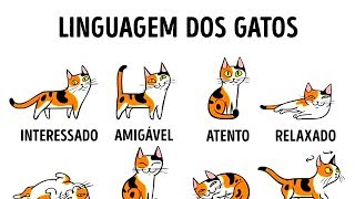 COMO ENTENDER MELHOR O SEU GATO [upl. by Blaseio803]