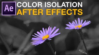 Leave Color or Color Isolation in adobe after effects tutorial [upl. by Eimas]