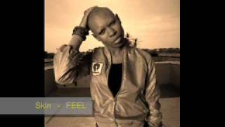 Skin Skunk Anansie  quotFEELquot [upl. by Akenet]