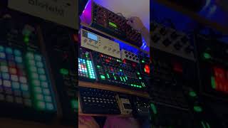 Synthstrom Deluge Jam with Waldorf Blofeld amp Virus B 12112024 [upl. by Mindi]