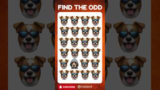 Find the Odd Emoji Out  Find the Odd Dog Out howgoodareyoureyes spotthedifference [upl. by Furlani]