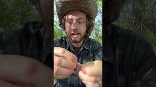 Making a rawhide bowstring part 2 outdoors bushcraft primitive survival camping archery [upl. by Guilbert607]