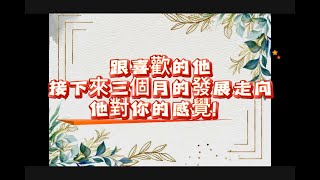 『塔羅占卜』你跟喜歡的他未來發展走向 他對你的想法感覺！ [upl. by Xanthe]