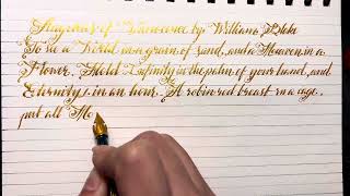 Auguries of Innocence by William Blake  Soothing pen on paper ASMR  Real time [upl. by Malet]