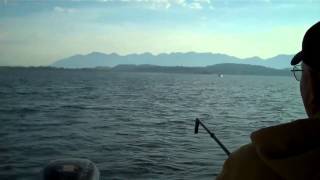 A Able Fishing Charters and Tours  Flathead Lake MT Lake Trout [upl. by Atekal]