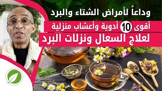 Top 10 Home Remedies for Colds Coughs and Sore Throats  ALTshafi [upl. by Zetneuq606]