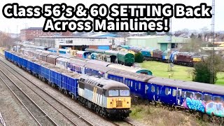 CLASS 56s amp 60s SETTING BACK Across the Mainlines GRIDS amp TUGS [upl. by Niwre]