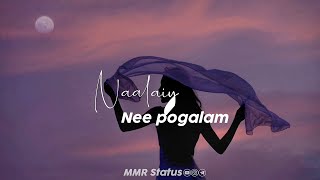 Tamil Whatsapp Status  Love Songs New  Love Whatsapp Status Tamil  female version status tamil [upl. by Emelyne302]