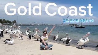 🇦🇺호주vlog 야생펠리컨캥거루코알라 이게호주지  charis seafood Coombabah Lake ConservationPark [upl. by Yrome]