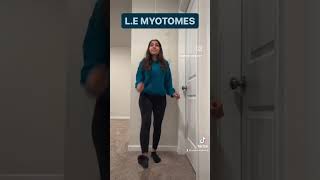 Lower extremity myotome dance Recreate the dance and tag us rrr natunatu shortvideo [upl. by Dudley]