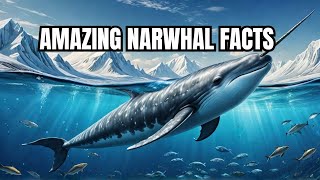 5 Amazing Facts About Narwhals 🐋 [upl. by Melas]