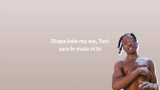 Naira Marley x Zlatan  Am I A Yahoo Boy Lyrics [upl. by Fredra]