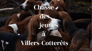 Chasse des jeunes à VillersCotterêts [upl. by Araas]