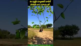 ⚡⚡💥Most Interesting amazing facts Telugu4⚡💥⚡teluguviraltrending shortsytshortsshort [upl. by Kristofor]