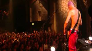 Red Hot Chili Peppers  Look Around  Live in Köln 2011 HD [upl. by Agnes966]