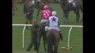 1991 Grand National Aintree Extended footage [upl. by Bender181]