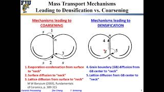 Ceramic Processing L719 Mass transport mechanisms determine densification vs coarsening [upl. by Eelhsa]