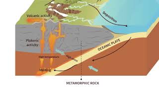 Metamorphic Rock  Science Animation by FLearning Studio [upl. by Frerichs185]