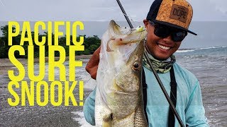 Pacific Snook Fishing in Costa Rica with Ben Milliken [upl. by Hertzog737]