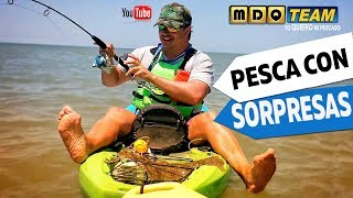 SUPER PESCA con sorpresas en Mar Chiquita [upl. by Anahc937]