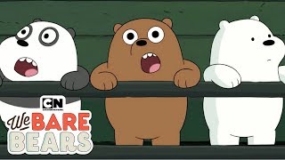 We Bare Bears  Cute Baby Bears Compilation Hindi  Cartoon Network [upl. by Buckie513]