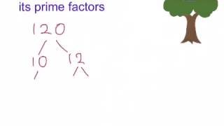 How to write a number as a product of its prime factors [upl. by Oriel96]