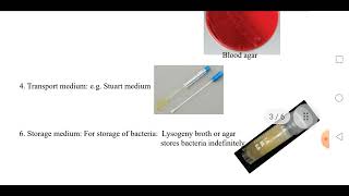 Bacterial Culture Media amp Growth Curve [upl. by Puklich]