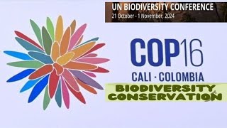 What is UN Biodiversity conference COP16 [upl. by Neggem821]