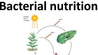 Autotroph heterotroph chemolithotroph etc [upl. by Eicaj]