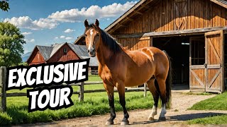 Exclusive Tour of Stunning Equestrian Ranch for Sale  3895 Old Denton Rd Gainesville Texas [upl. by Anirtep]