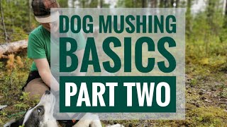 DOG MUSHING BASICS PART TWO Teach your dog to run or bike [upl. by Yhtorod29]