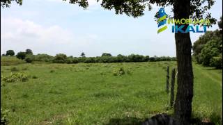 Rancho de 10 hectareas en venta [upl. by Meuser392]