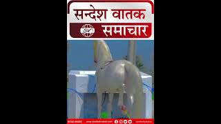 अद्भुत घोड़ा जो पीता है बिस्लेरी पानी jaipur viralvideo [upl. by Devehcoy]