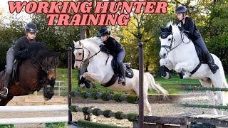 WORKING HUNTER TRAINING WITH POPCORN ROLO AND PANDA [upl. by Yssac158]