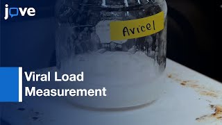 Viral Load Measurement [upl. by Dorren]