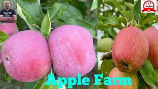 🍎 🍏 Apple Farm agriculture travel apple farm canada [upl. by Burns968]