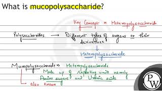 What is mucopolysaccharide [upl. by Edlin]